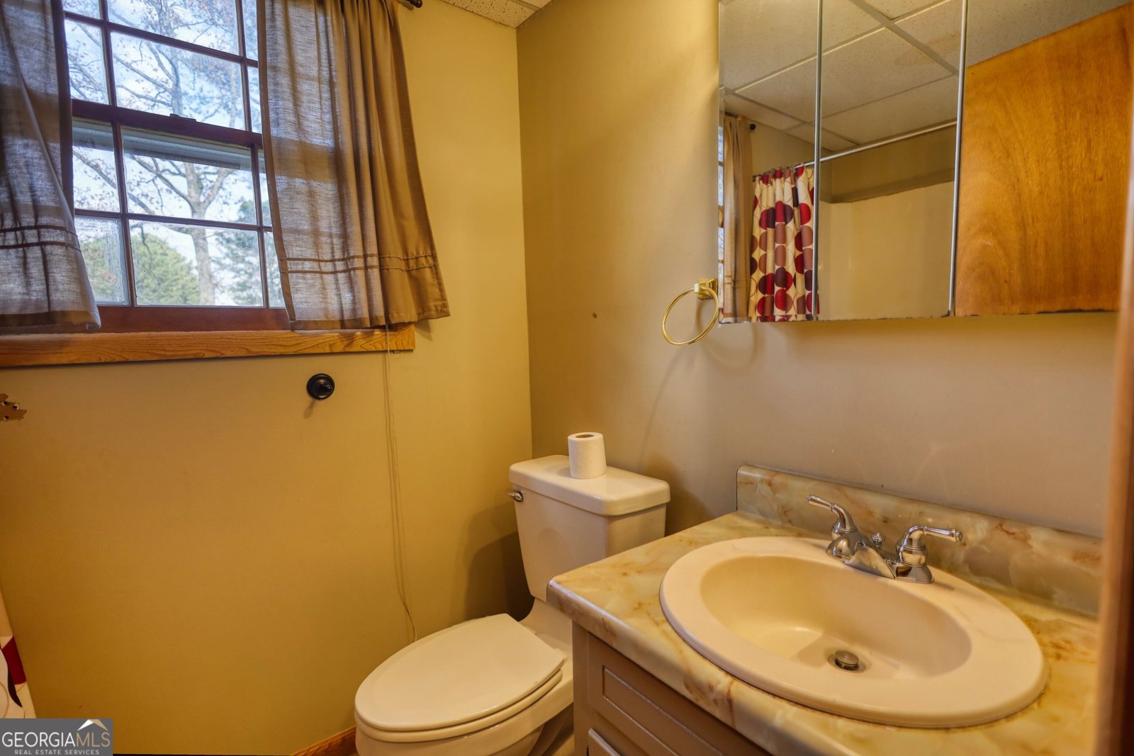 2289 Amberbrook Drive Conyers - 61