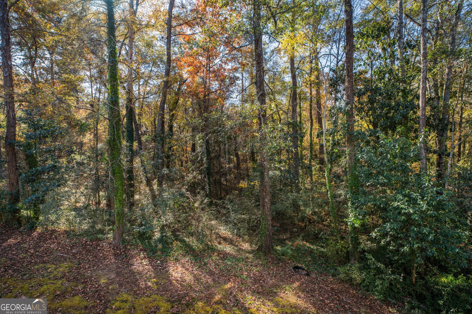 108 Hillbrooke Court Macon - 33