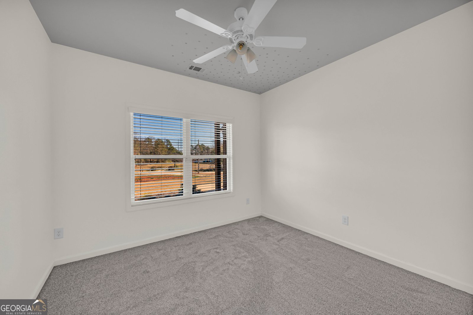 1011 Dortch Road Eastanollee - 12