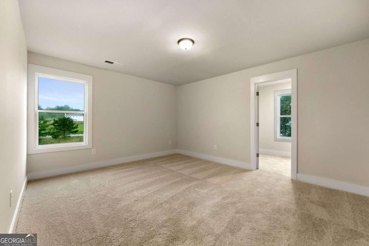 152 Blue Rider Trail Hoschton - 34