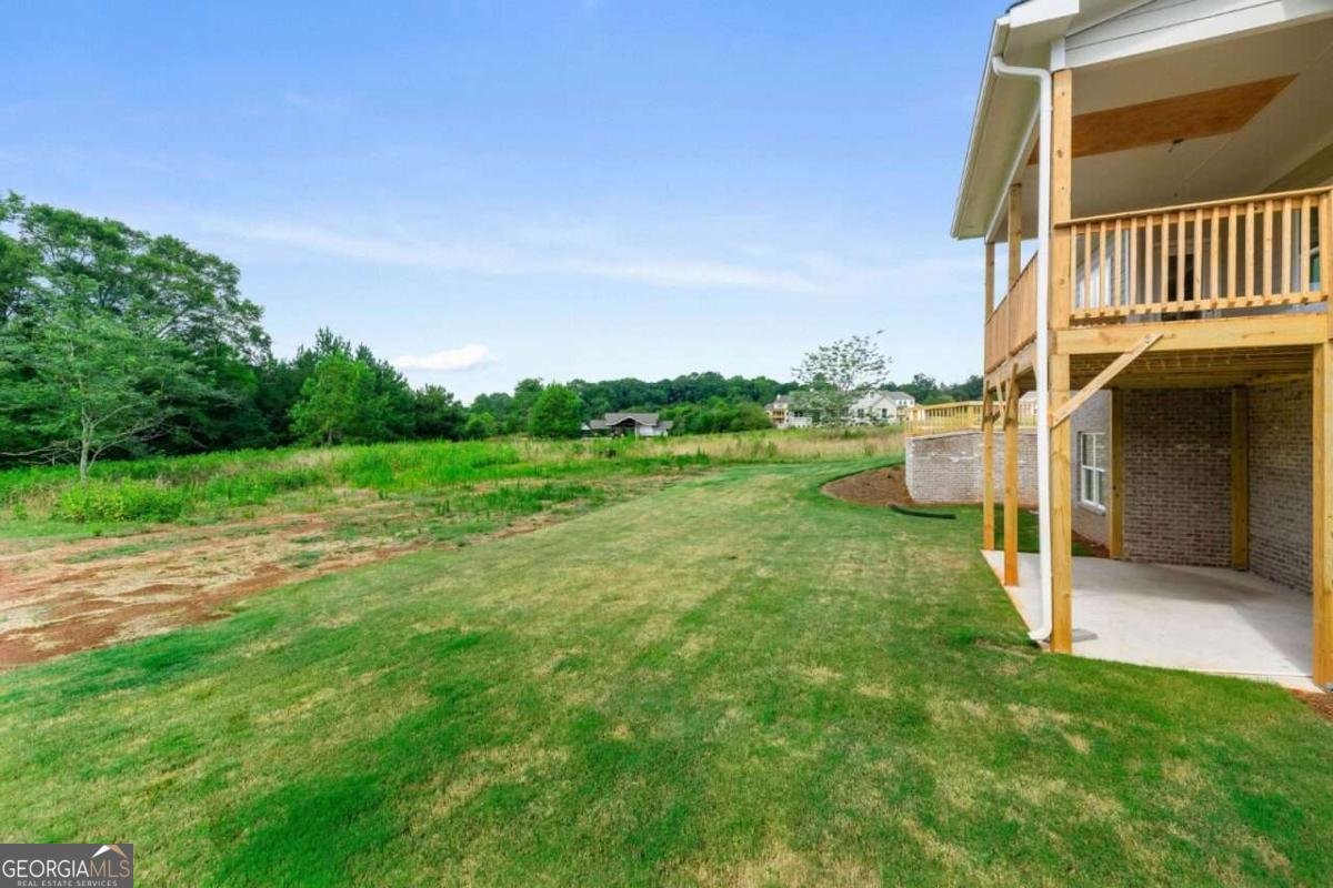 152 Blue Rider Trail Hoschton - 41