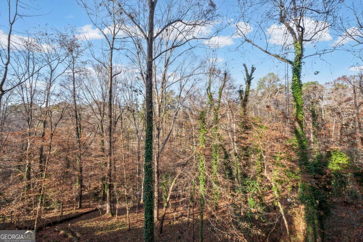 2710 Margaret Mitchell Drive Atlanta - 48