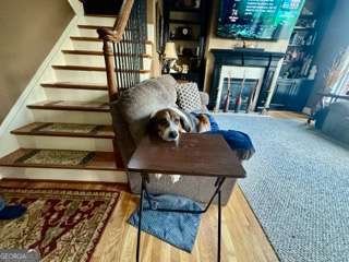 320 River Green Avenue Canton - 48