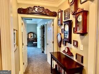 320 River Green Avenue Canton - 96