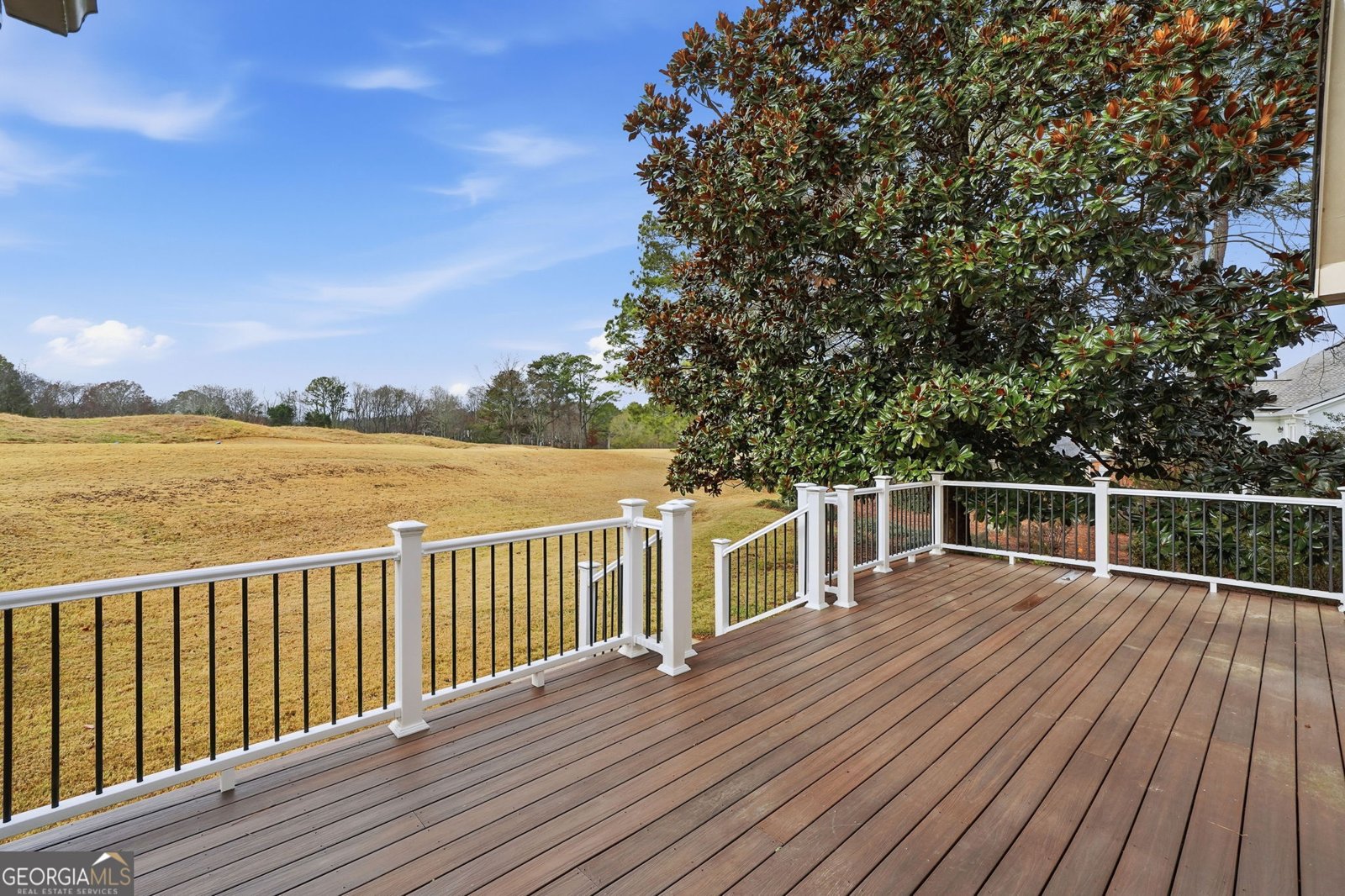 3015 Bradshaw Club Drive Woodstock - 44