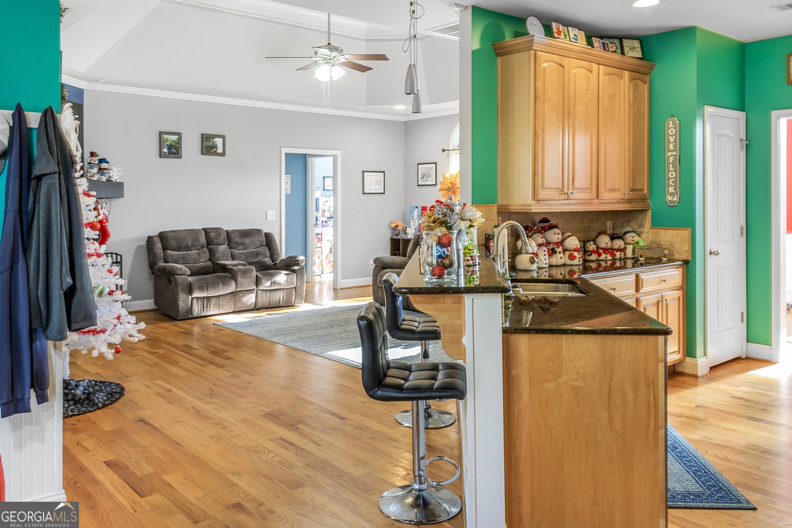 235 Brooks Road Pendergrass - 11