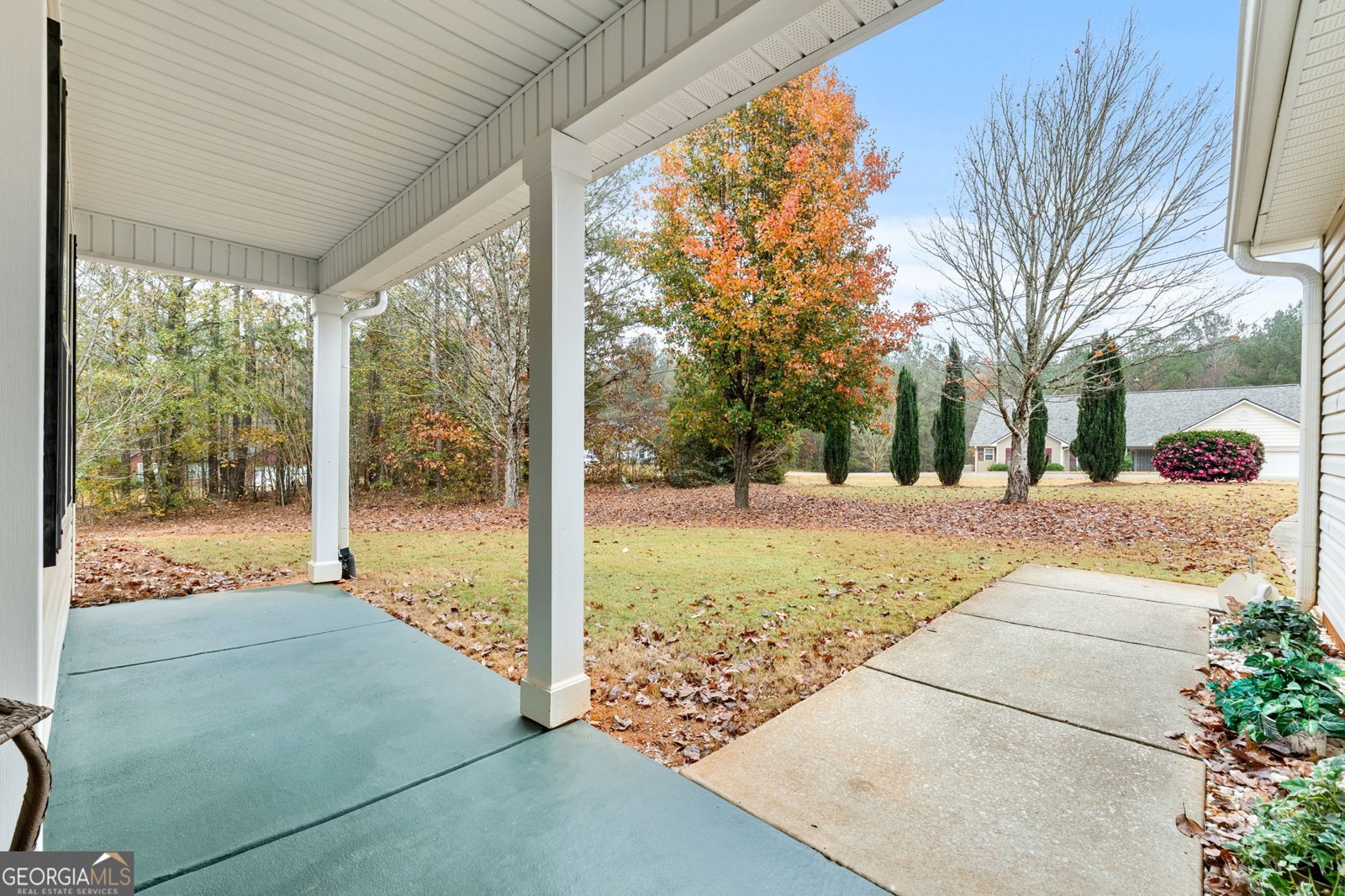70 Dolly Nixon Court Senoia - 5
