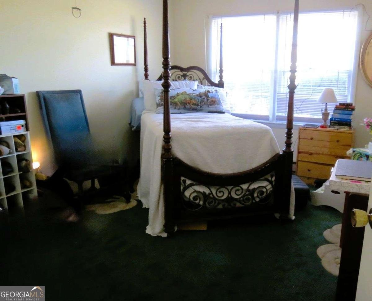 4880 Pea Ridge Road Cornelia - 25