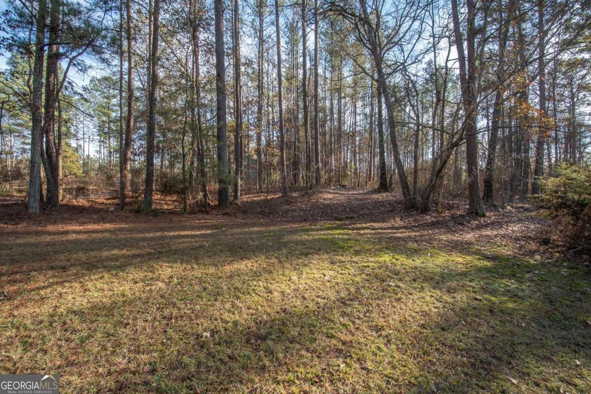 3986 Corinth Road Newnan - 23