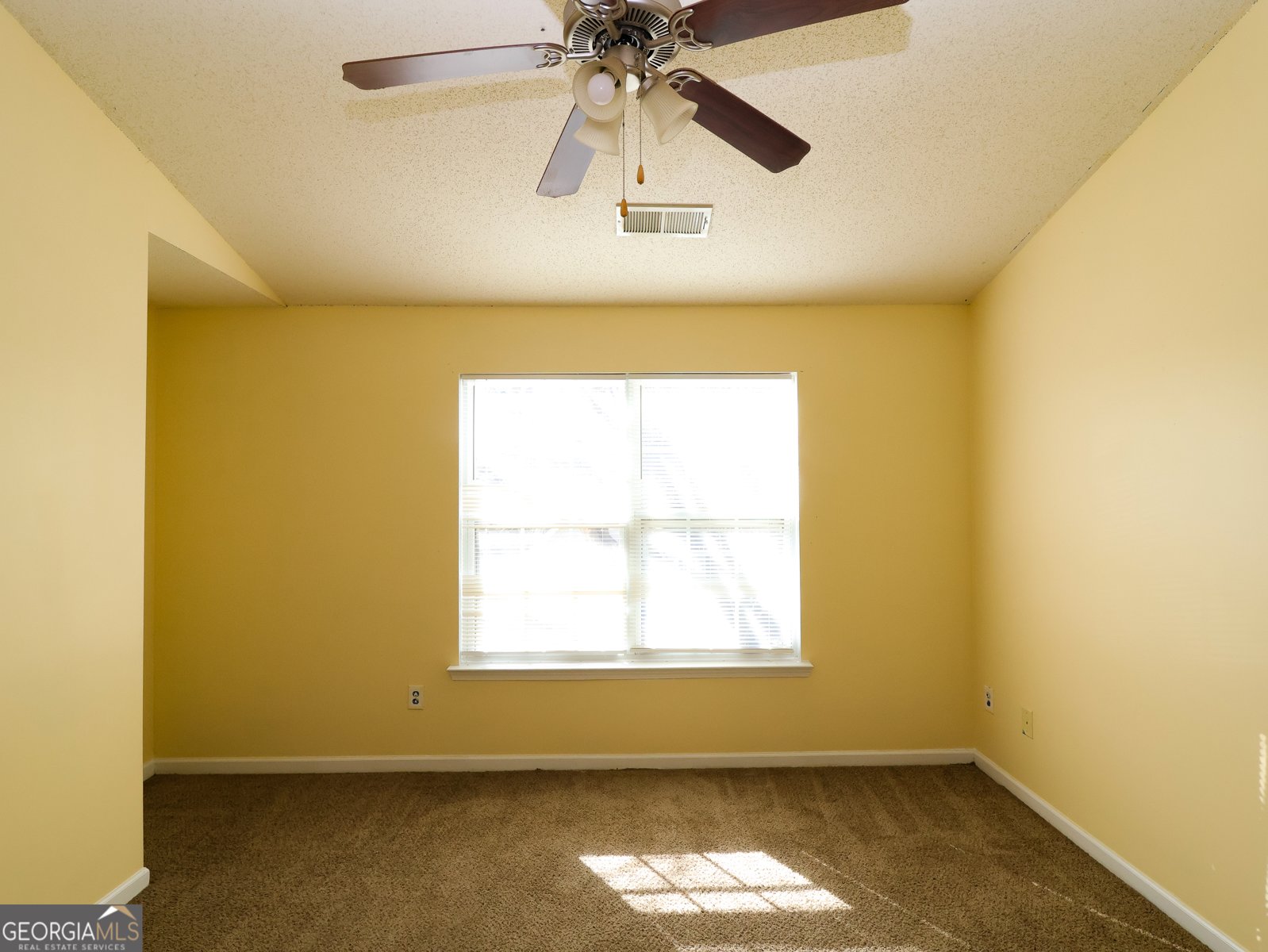 168 Lossie Lane Mcdonough - 10