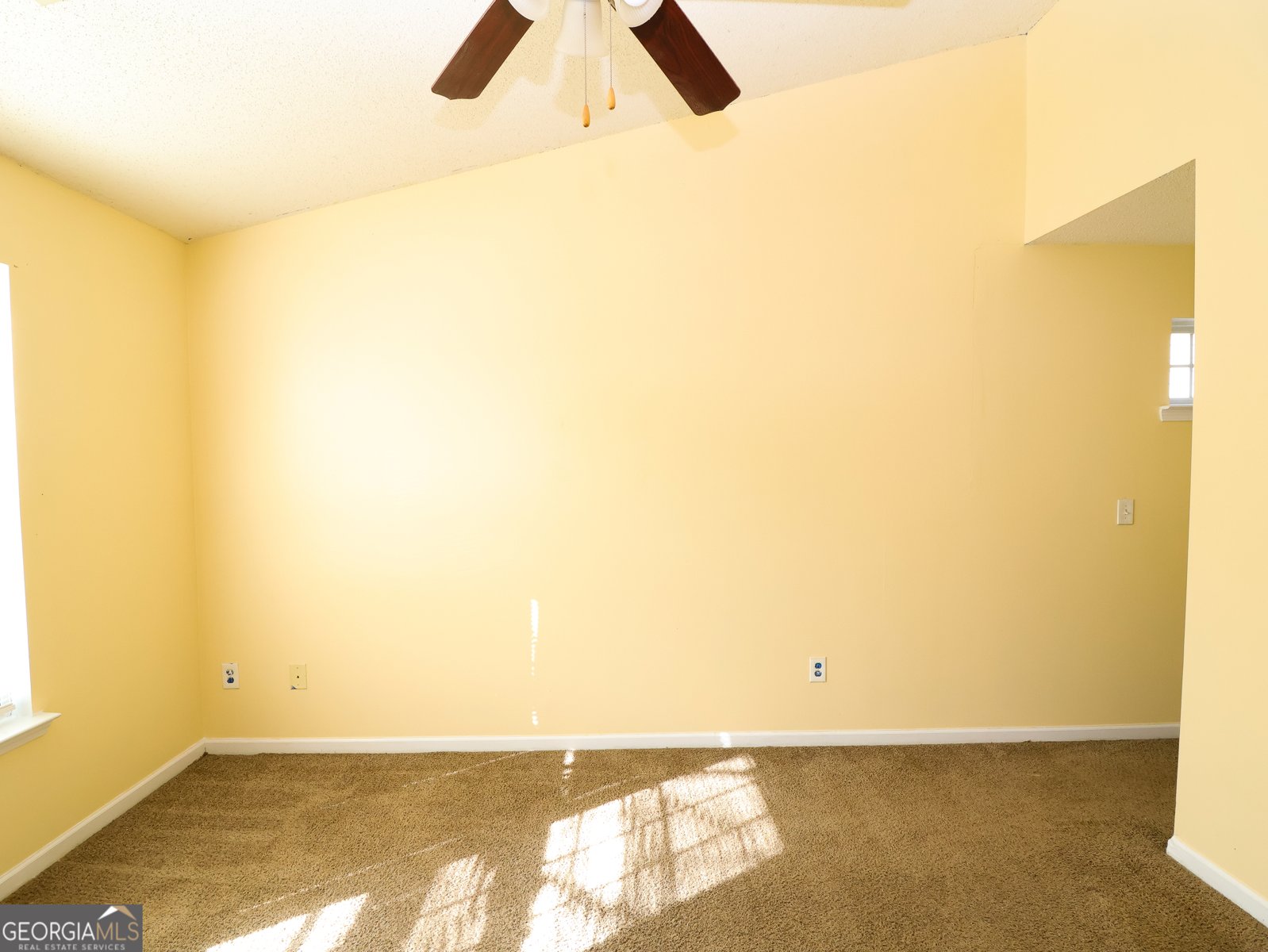 168 Lossie Lane Mcdonough - 9