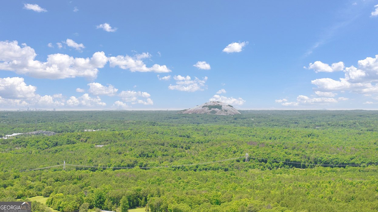 8586 PREAKNESS Pass Lithonia - 56