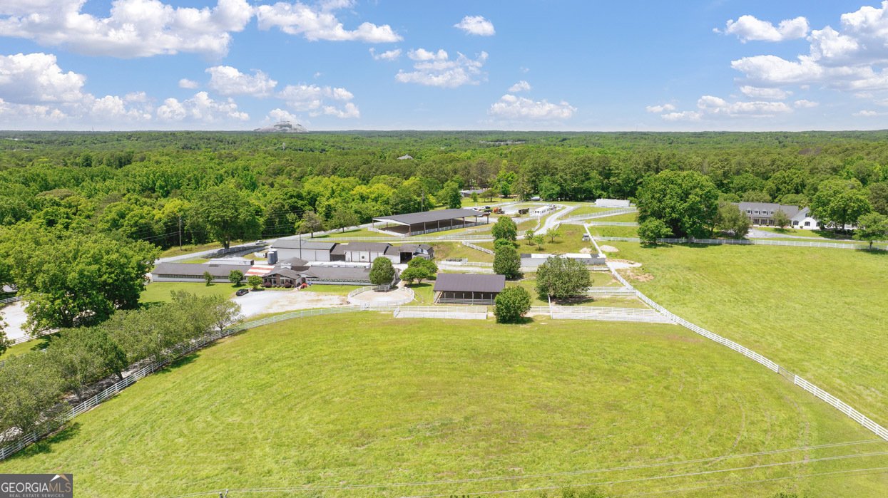 8586 PREAKNESS Pass Lithonia - 58