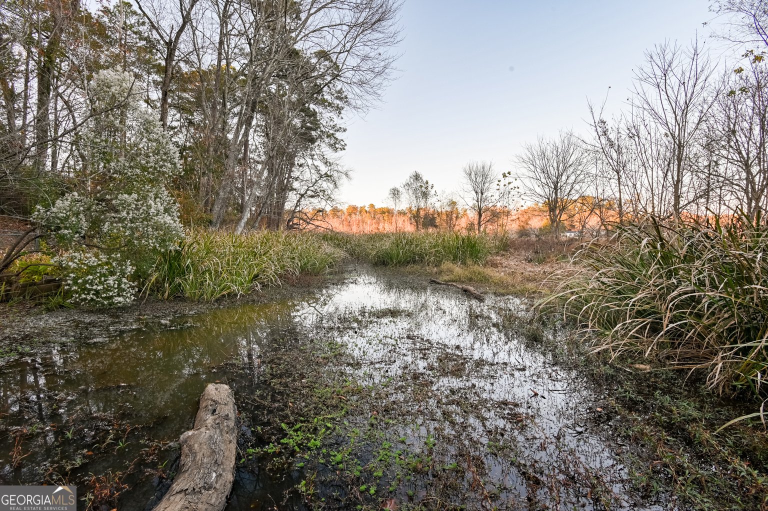 458 Haley Road Jackson - 42