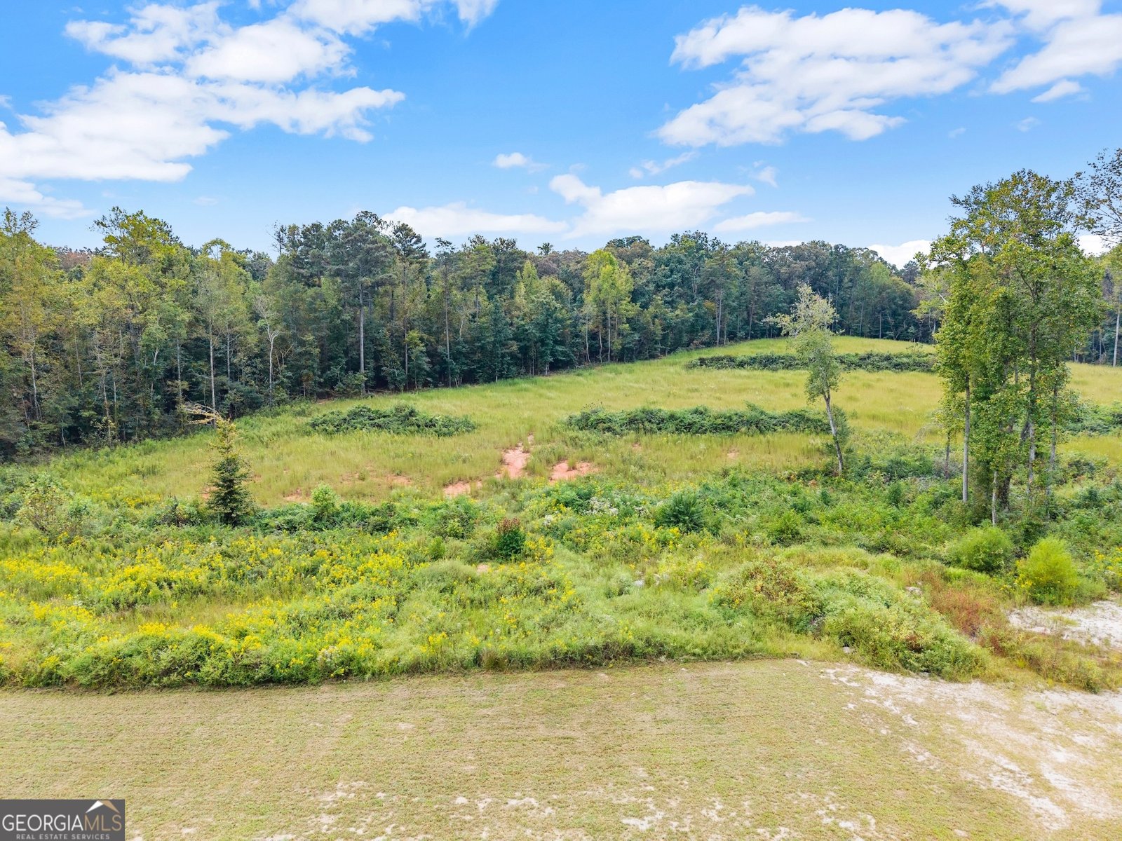 6147 Dahlonega Highway Clermont - 68