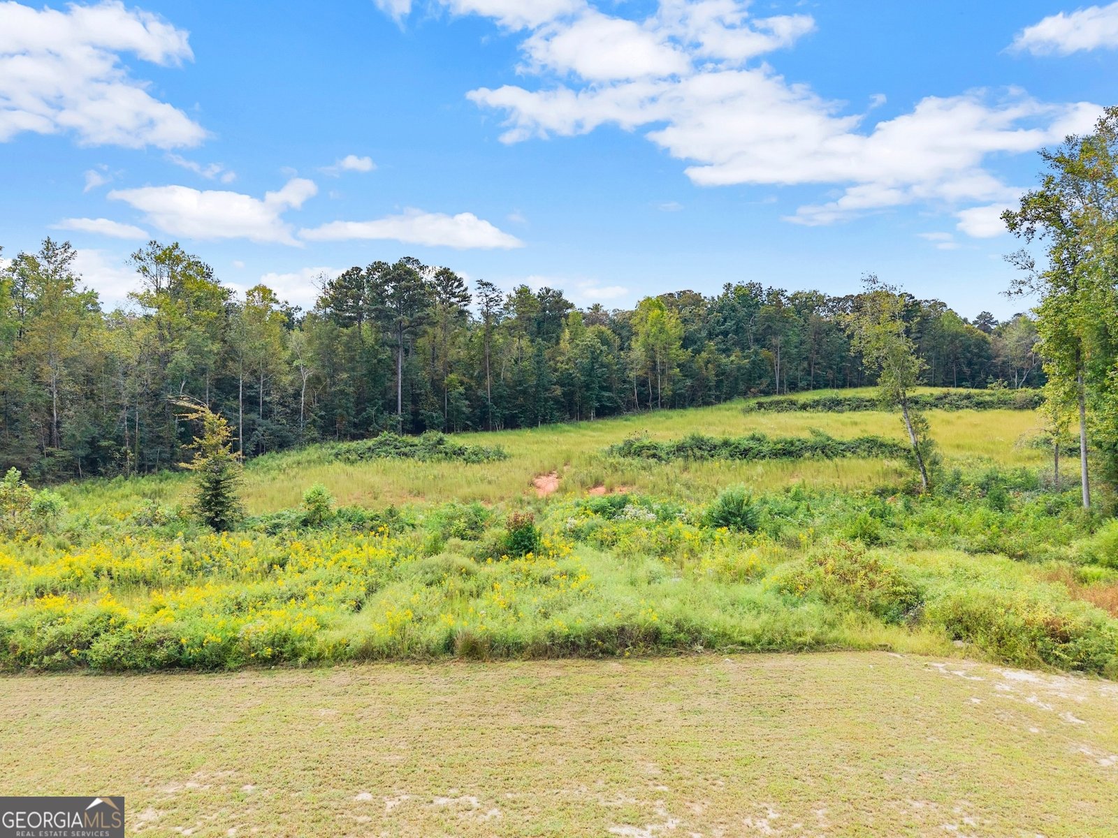 6147 Dahlonega Highway Clermont - 84