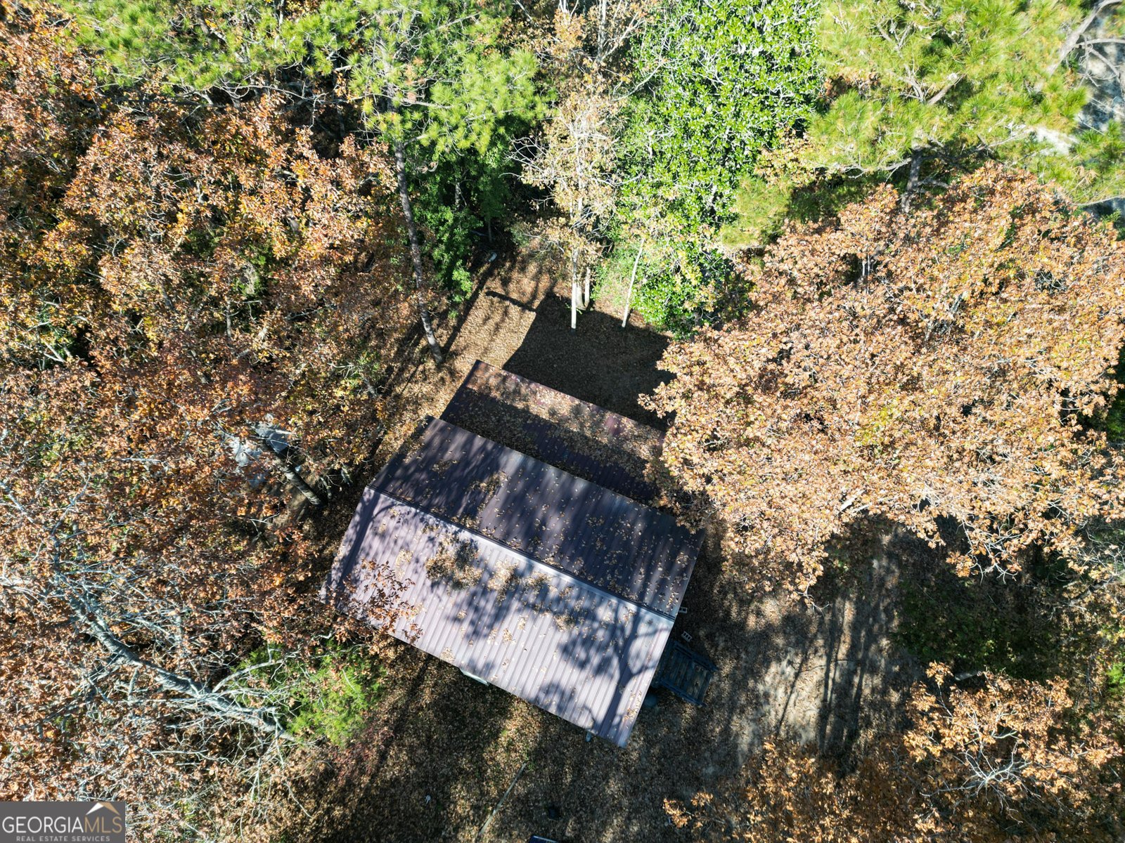 2286 Carter Bight Landing Road Surrency - 19