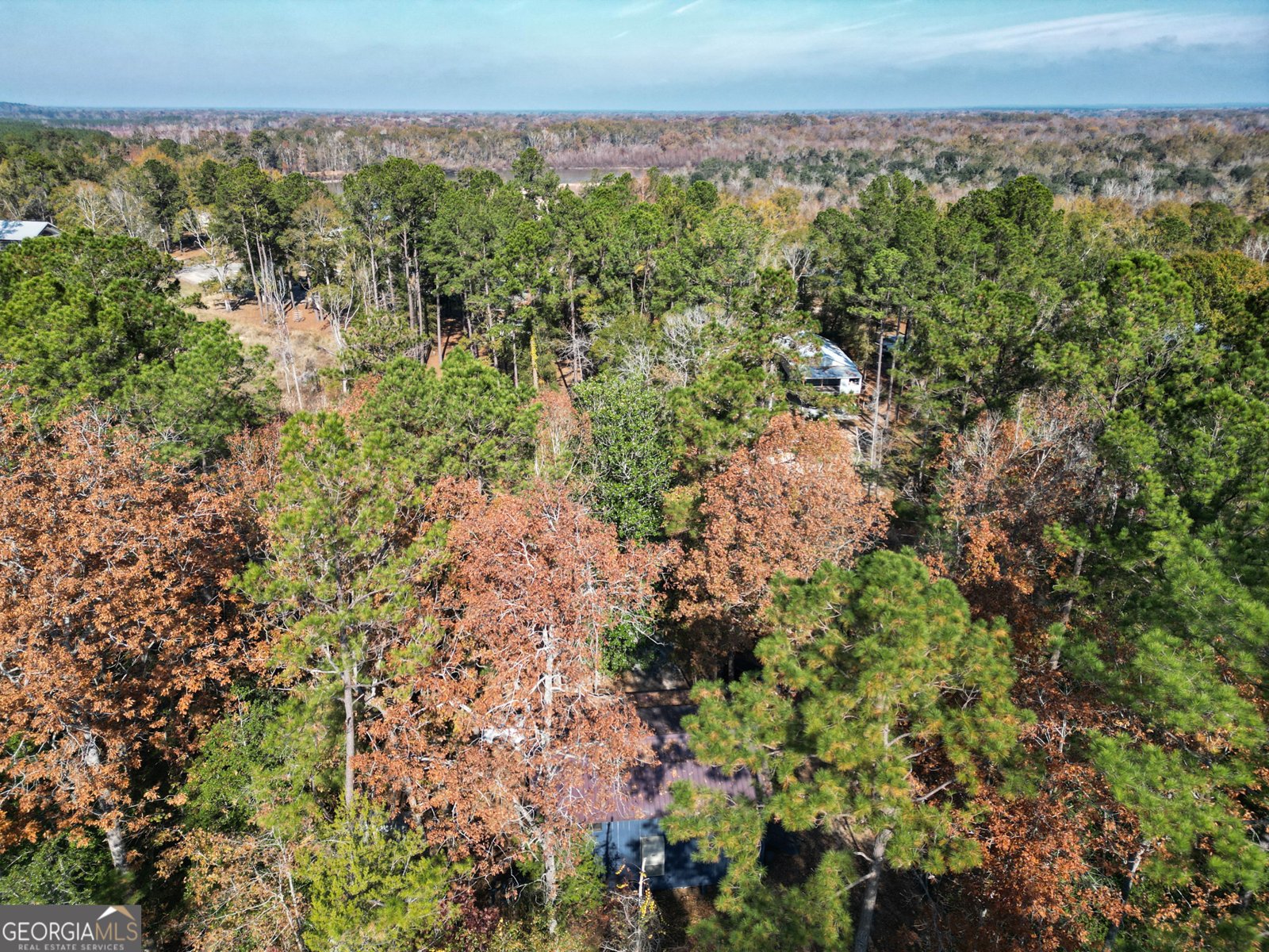 2286 Carter Bight Landing Road Surrency - 20