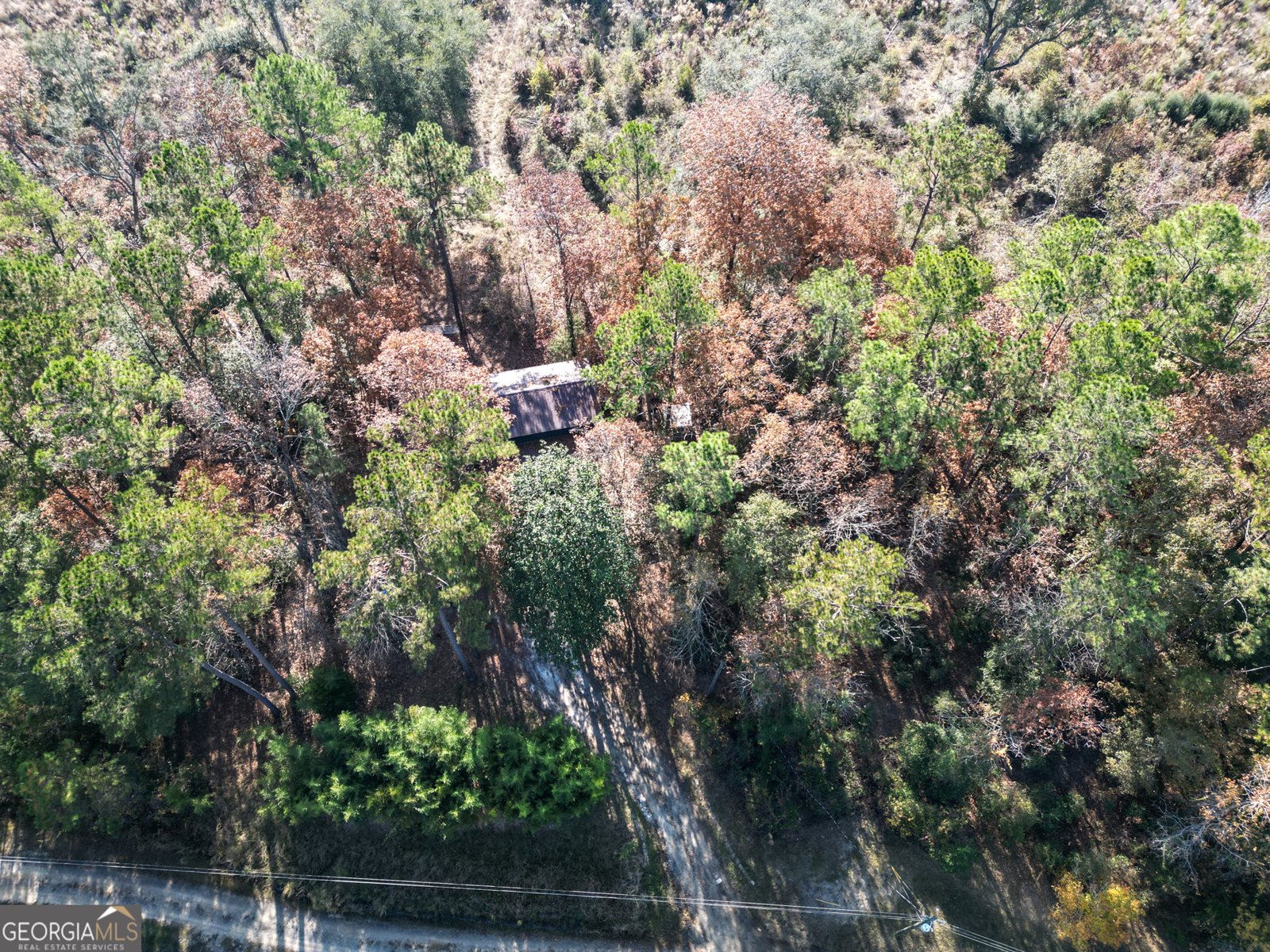 2286 Carter Bight Landing Road Surrency - 27