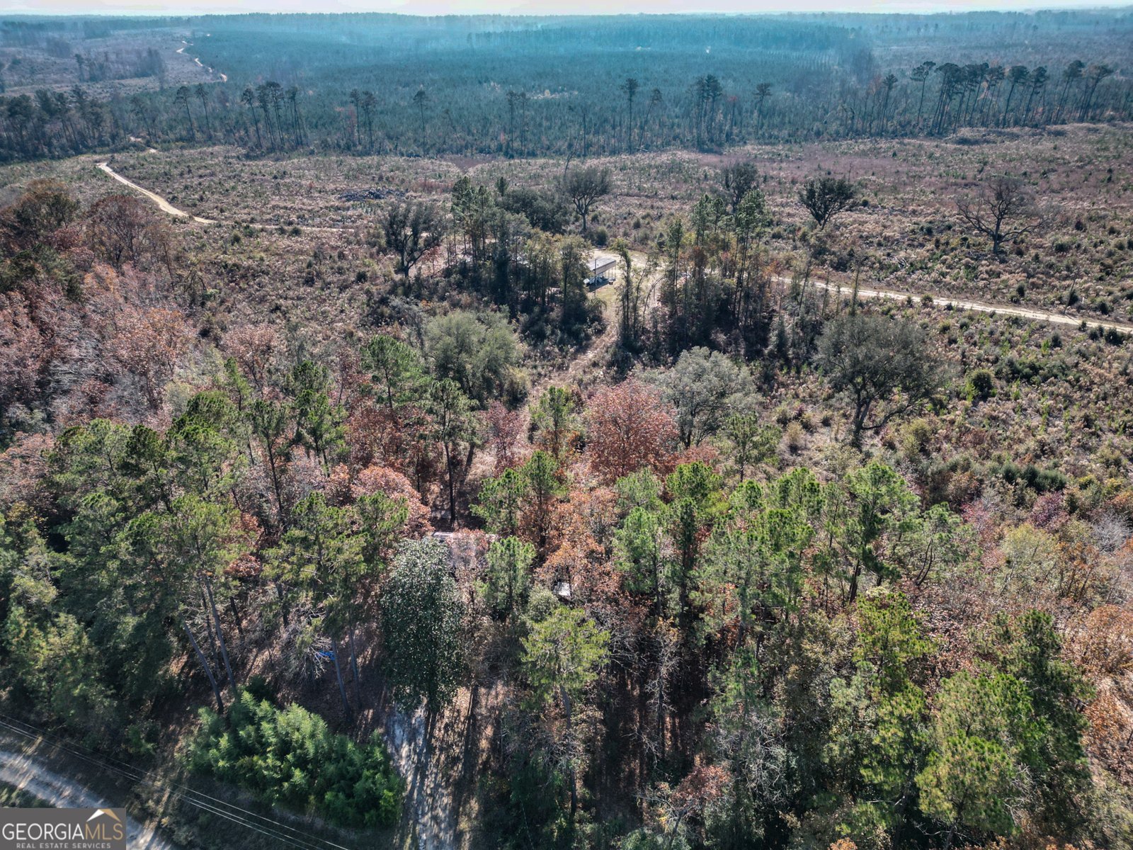 2286 Carter Bight Landing Road Surrency - 30