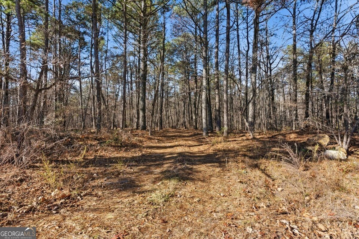 73 Harrell Drive Kingston - 38