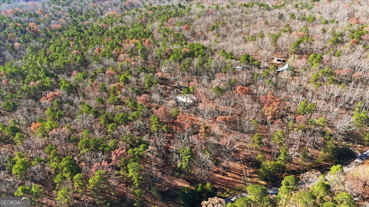 73 Harrell Drive Kingston - 47