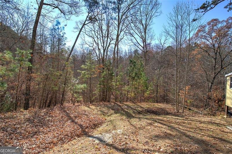 1252 PARIS MOUNTAIN Road Rockmart - 49