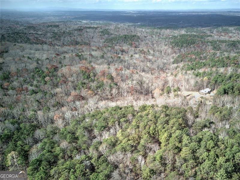 1252 PARIS MOUNTAIN Road Rockmart - 58