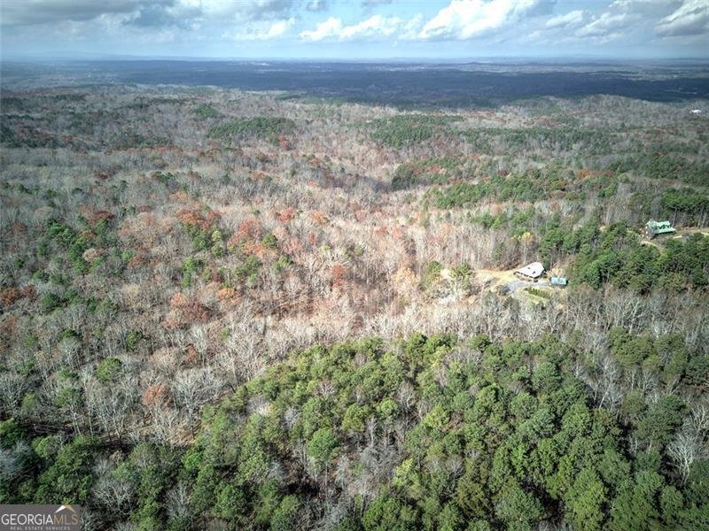 1252 PARIS MOUNTAIN Road Rockmart - 59