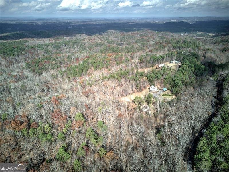 1252 PARIS MOUNTAIN Road Rockmart - 60