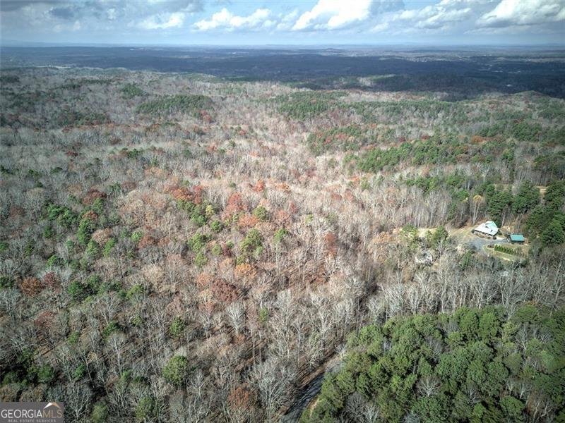 1252 PARIS MOUNTAIN Road Rockmart - 61