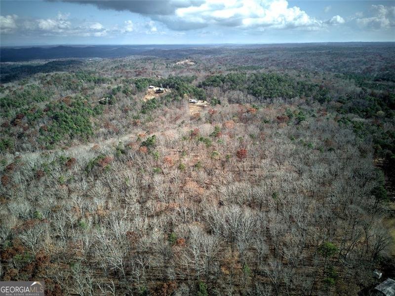 1252 PARIS MOUNTAIN Road Rockmart - 64