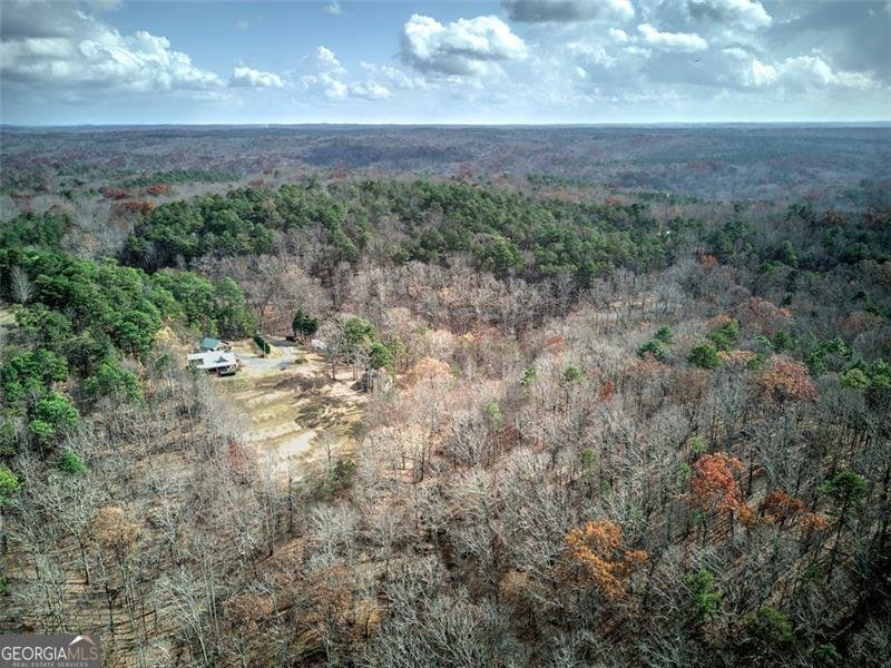 1252 PARIS MOUNTAIN Road Rockmart - 69