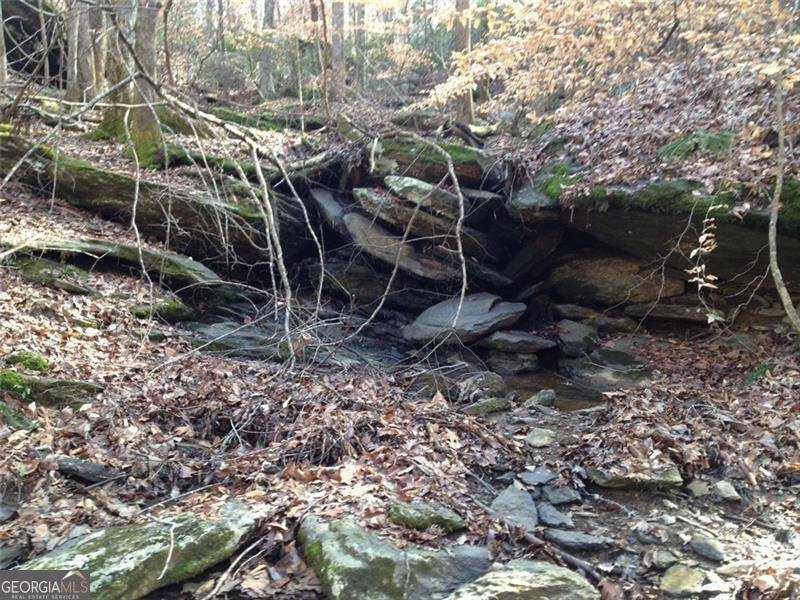 1252 PARIS MOUNTAIN Road Rockmart - 87