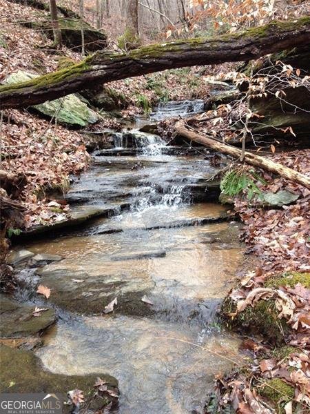 1252 PARIS MOUNTAIN Road Rockmart - 88