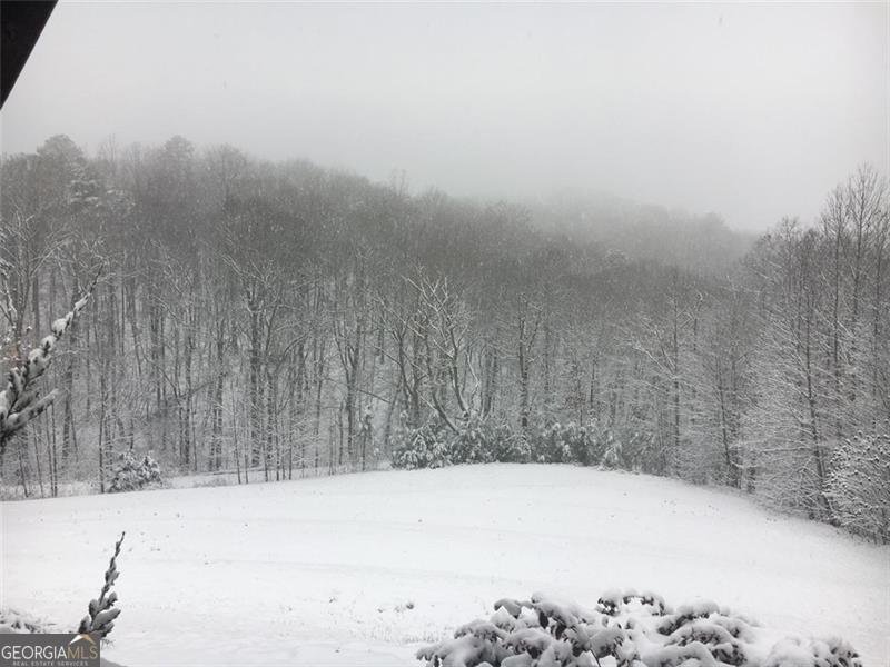 1252 PARIS MOUNTAIN Road Rockmart - 90