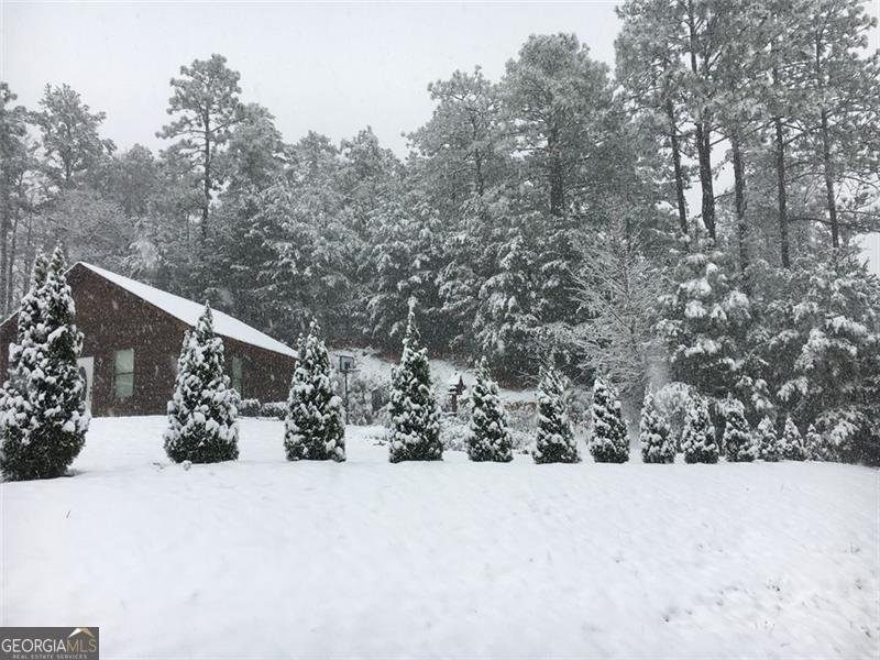 1252 PARIS MOUNTAIN Road Rockmart - 92