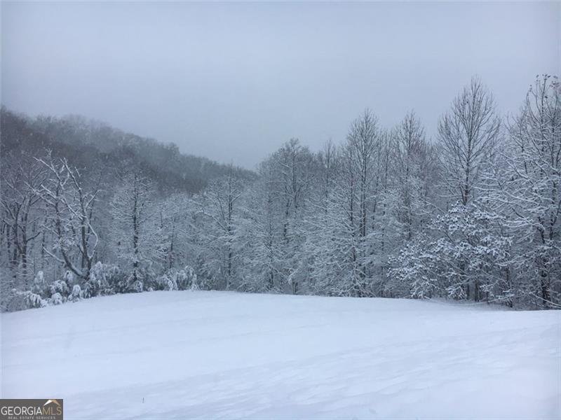 1252 PARIS MOUNTAIN Road Rockmart - 93