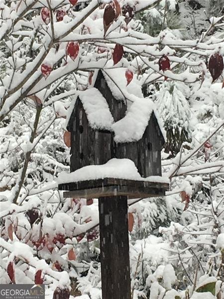 1252 PARIS MOUNTAIN Road Rockmart - 94