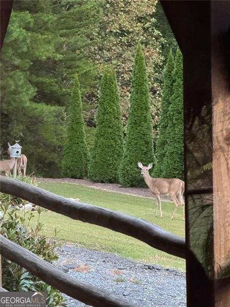 1252 PARIS MOUNTAIN Road Rockmart - 95