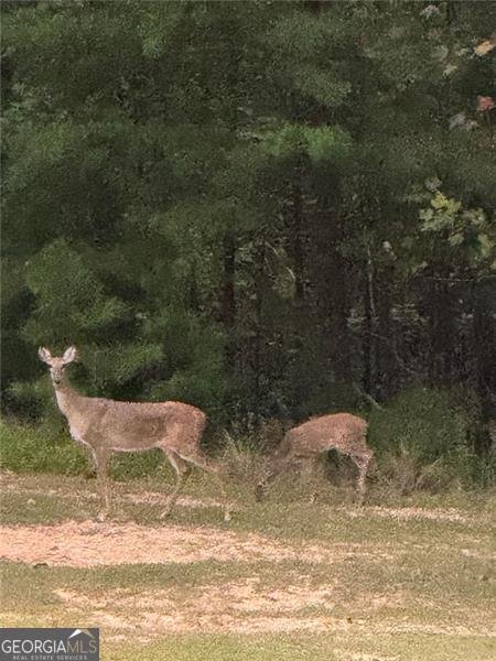 1252 PARIS MOUNTAIN Road Rockmart - 96