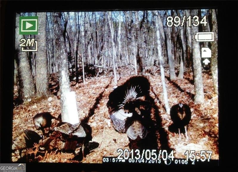 1252 PARIS MOUNTAIN Road Rockmart - 97