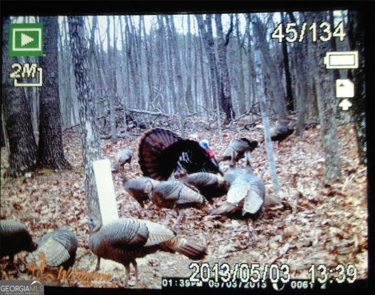 1252 PARIS MOUNTAIN Road Rockmart - 98