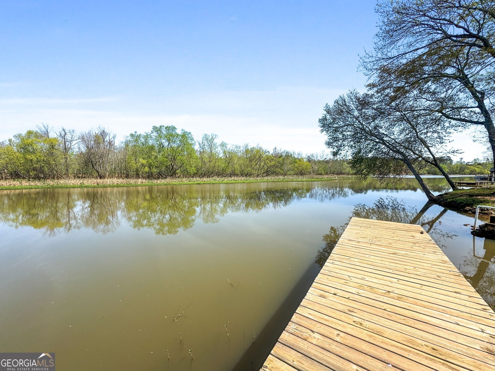 532 Henry Higgins Road Jackson - 29