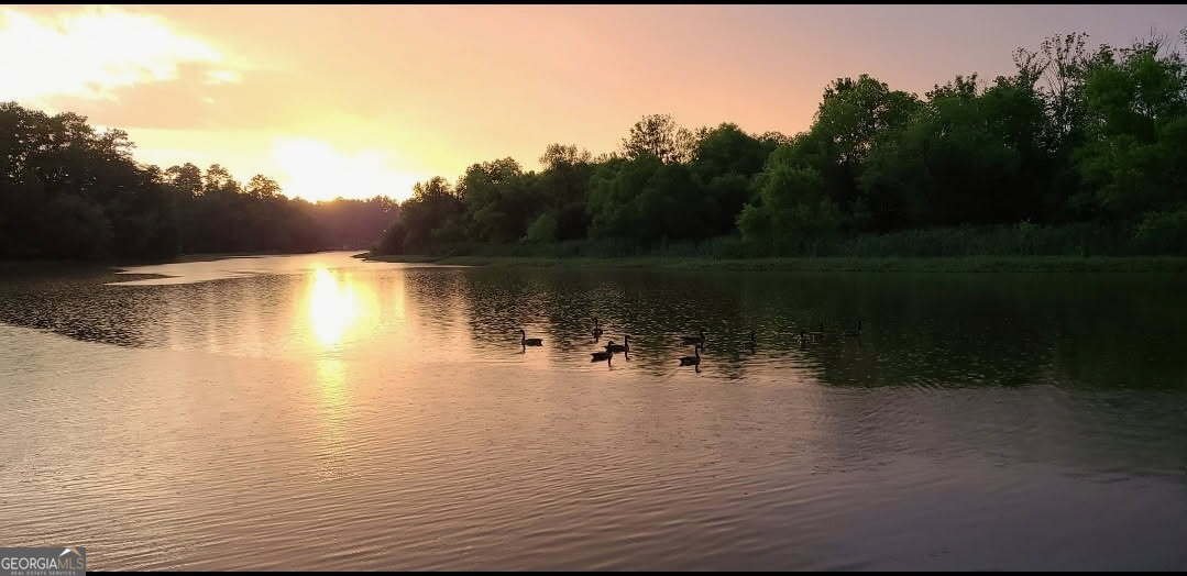 532 Henry Higgins Road Jackson - 3