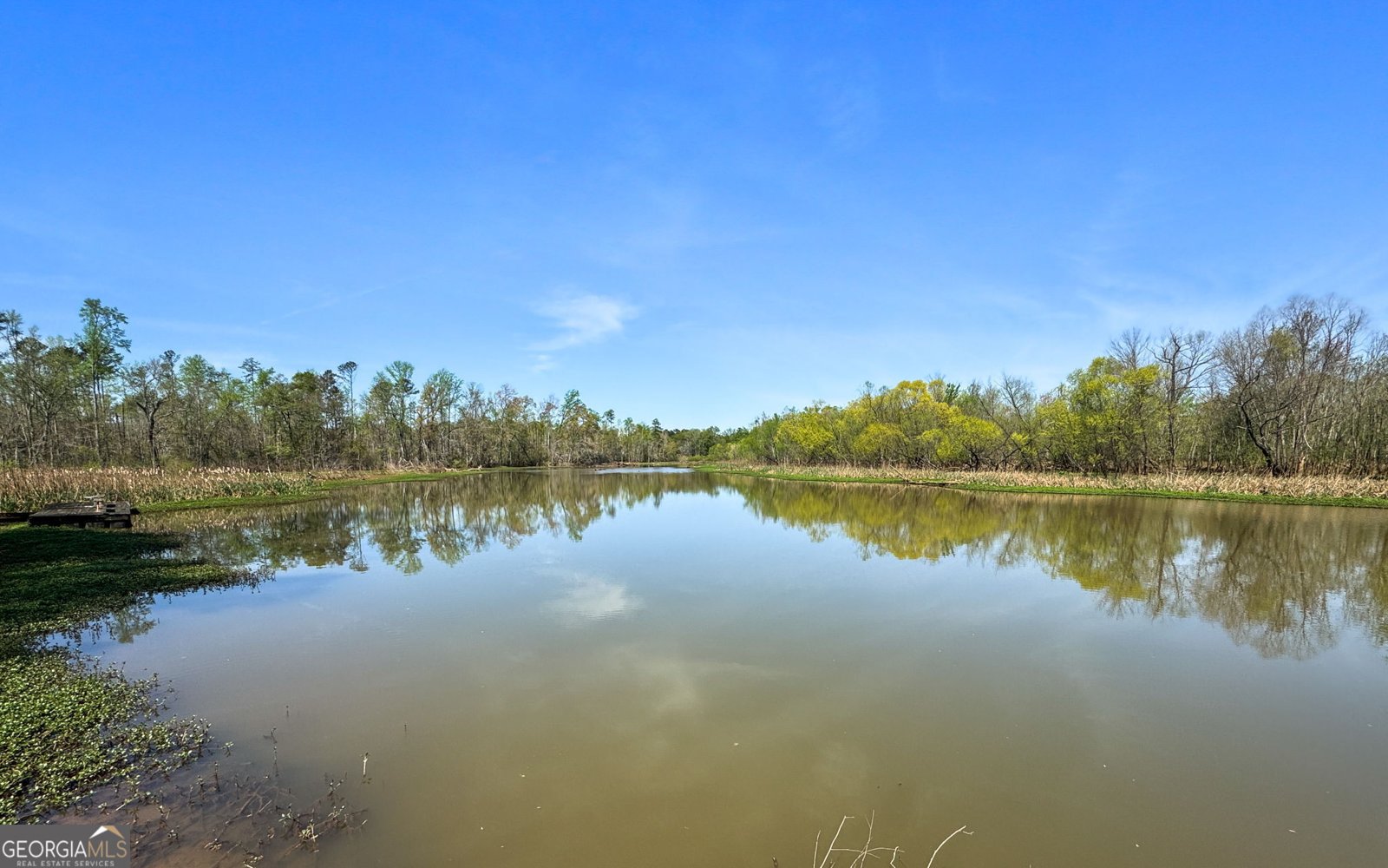 532 Henry Higgins Road Jackson - 30