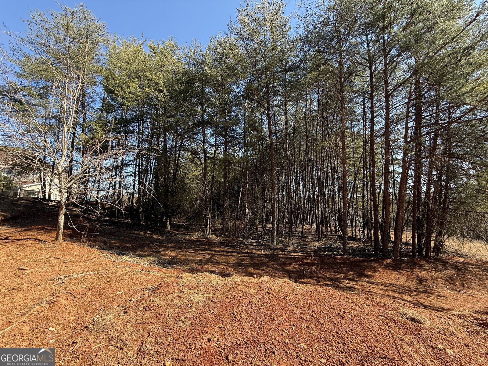 2646 Waters Edge Drive Gainesville - Photo 52