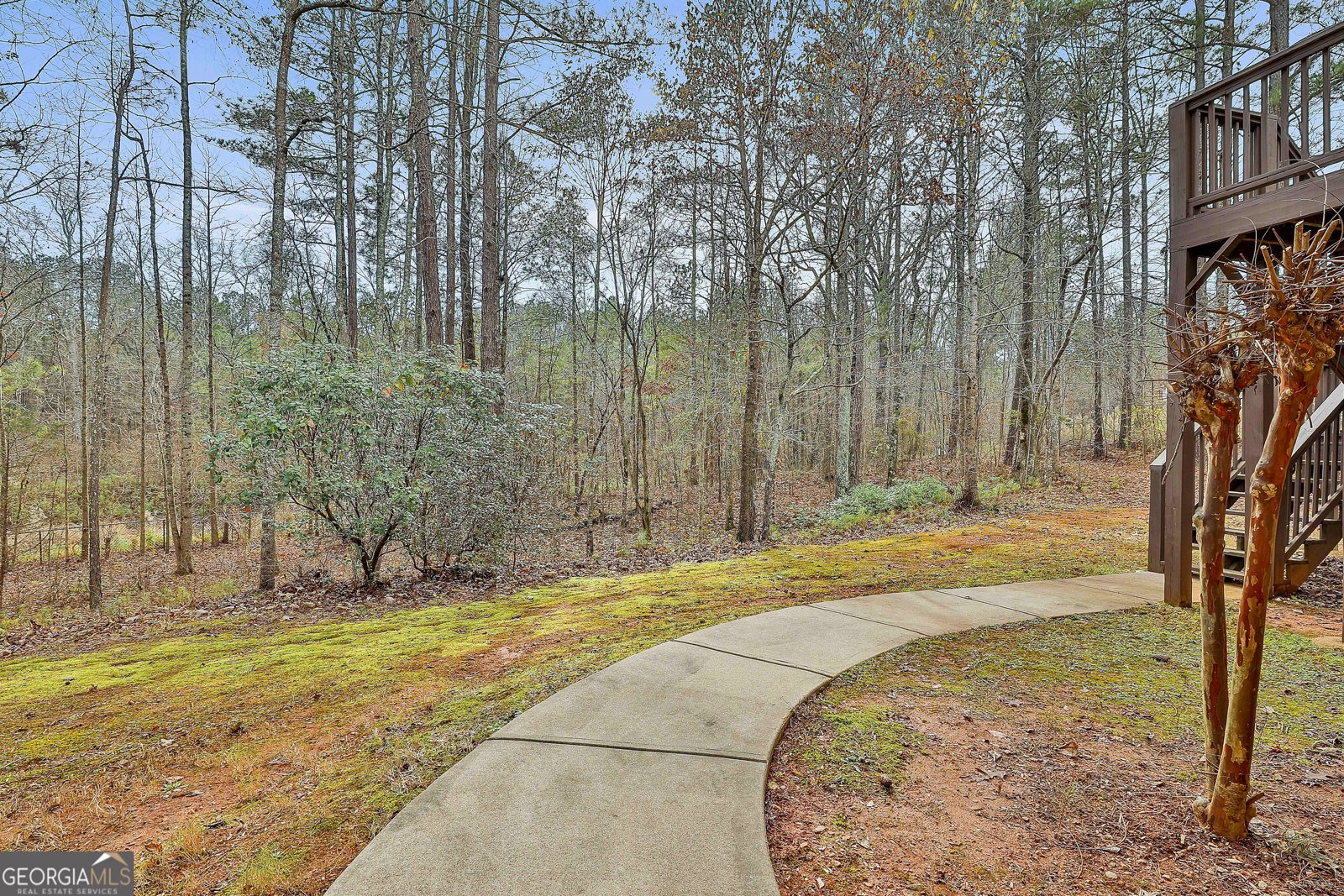 7497 Treehouse Court Douglasville - 75