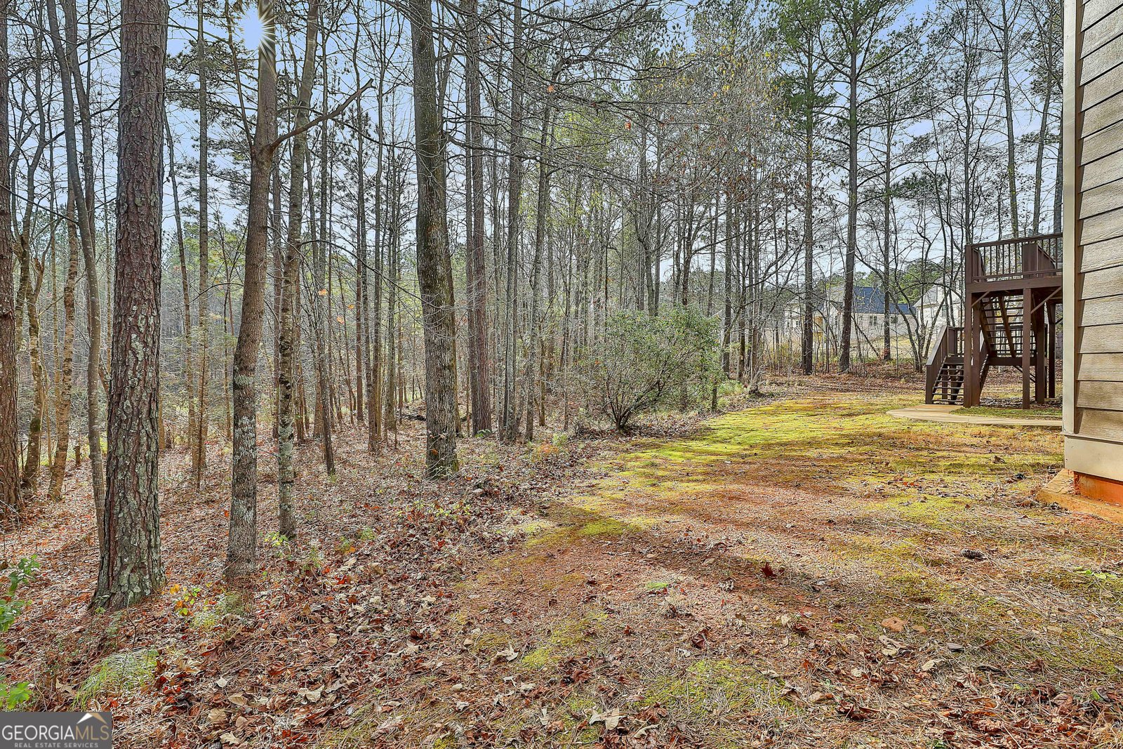 7497 Treehouse Court Douglasville - 81