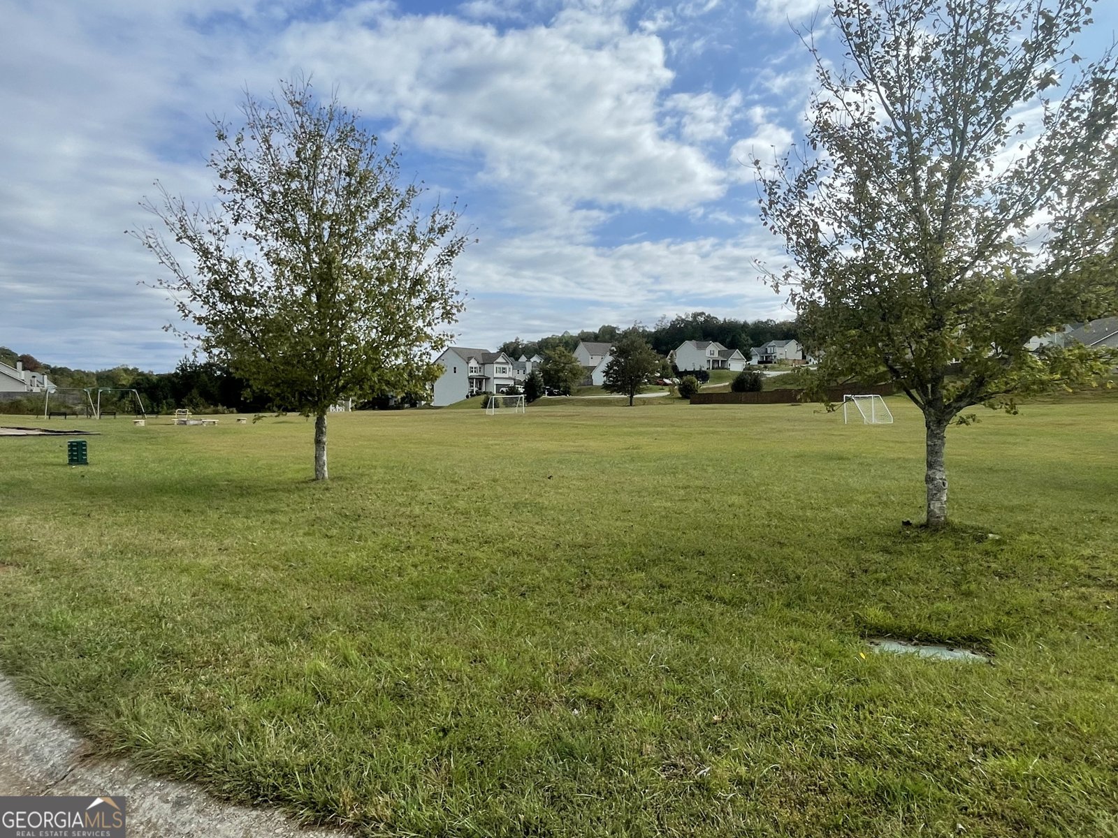 716 Westcrest Lane Cornelia - 43